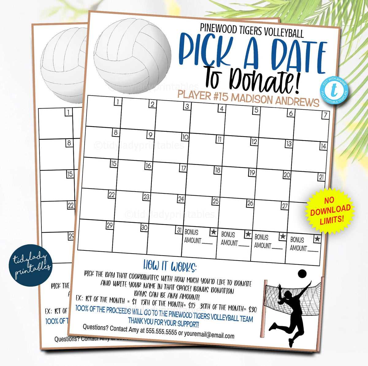 calendar fundraiser template softball