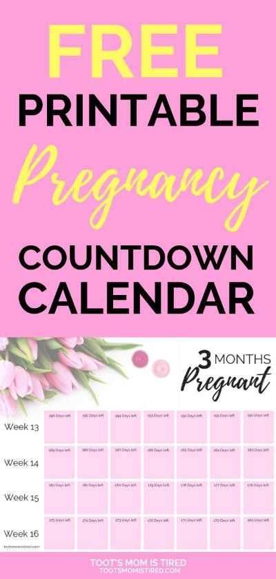 pregnancy calendar template