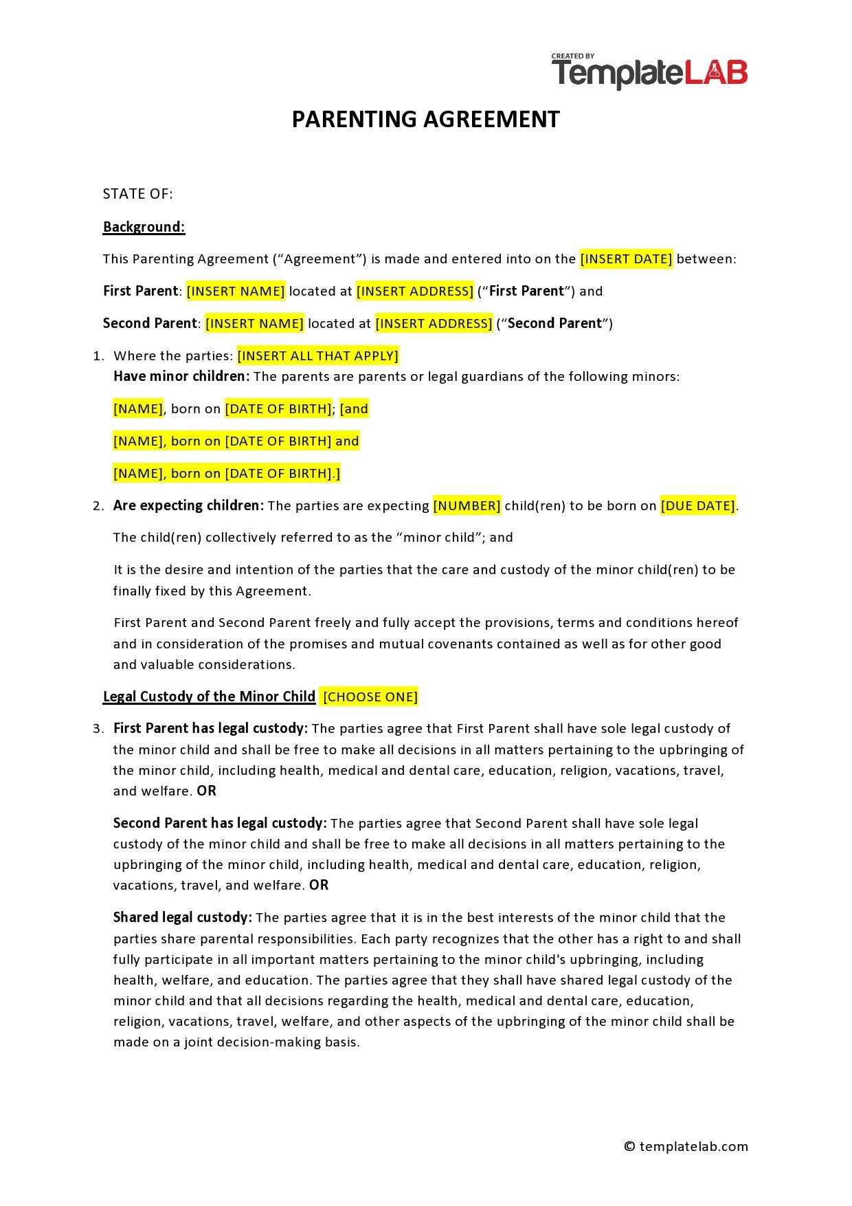 shared custody calendar template