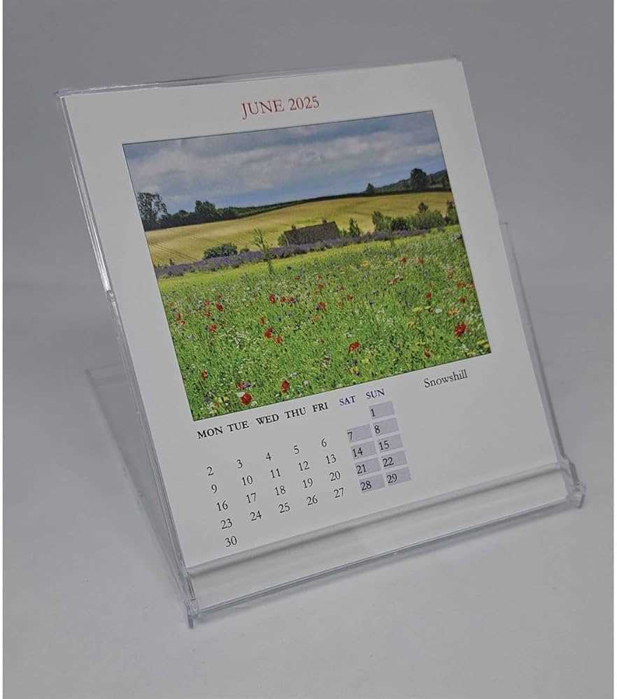 cd case calendar template 2025