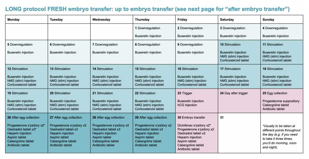 printable ivf calendar template