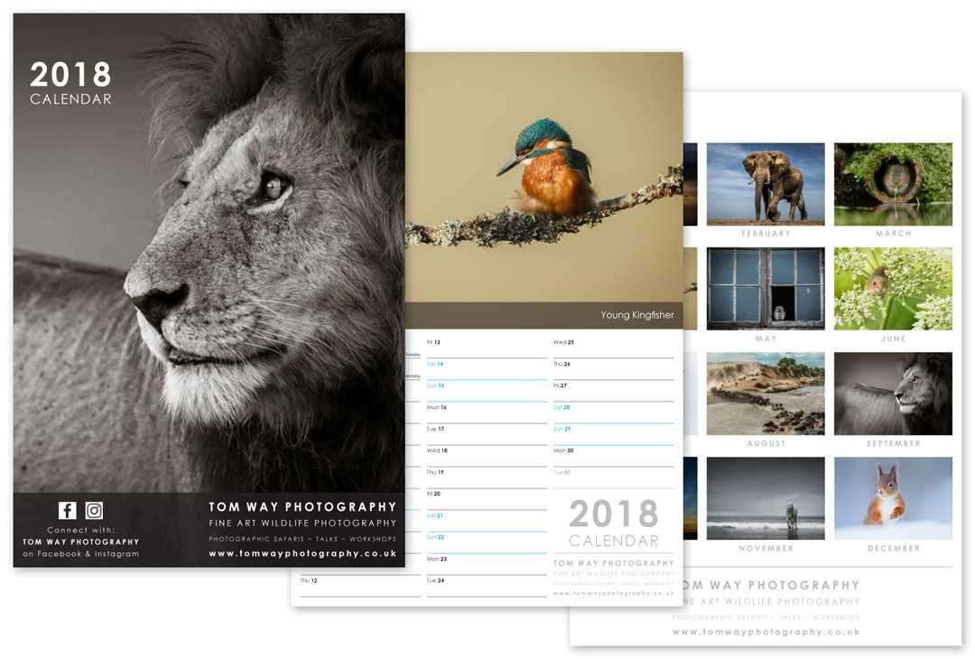 photographer calendar template