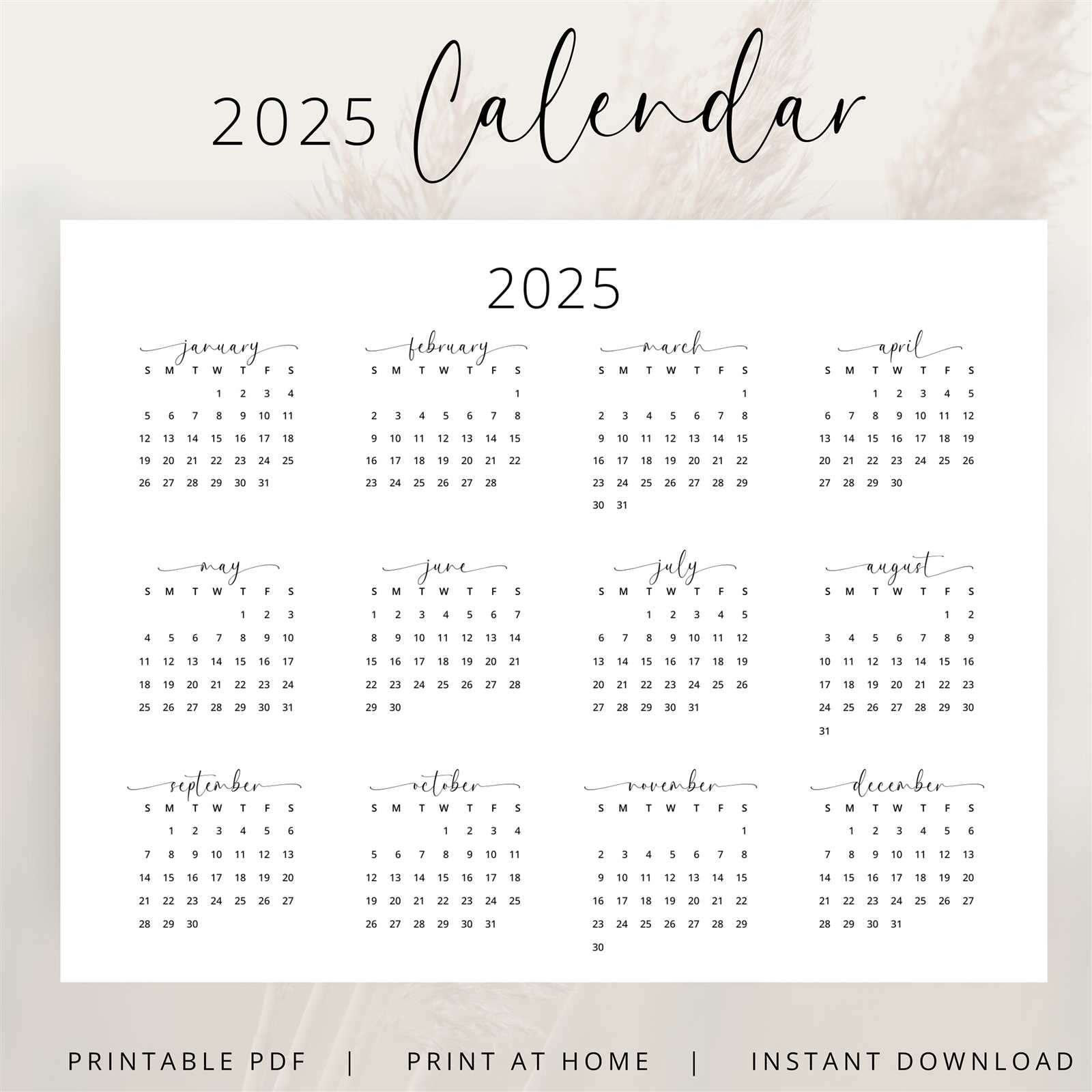 4 year calendar template