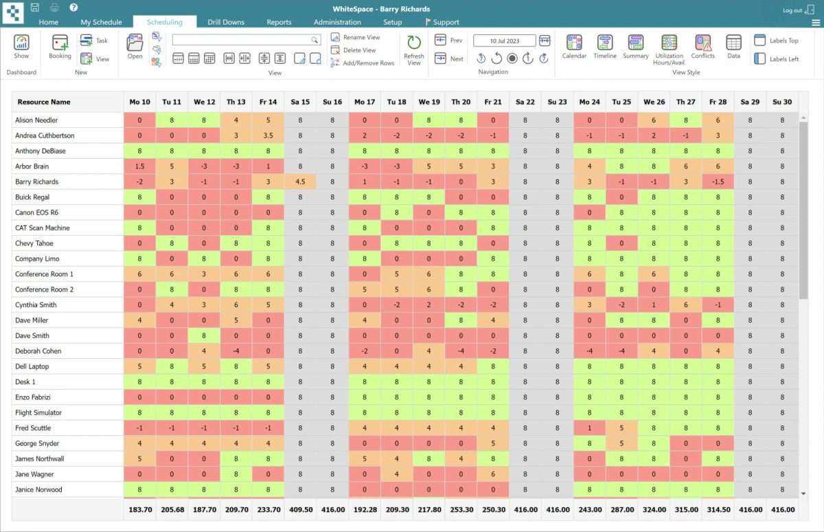 resource calendar pmp template