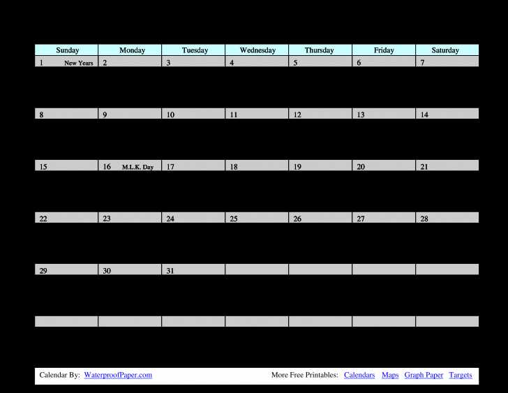 monthly medication calendar template