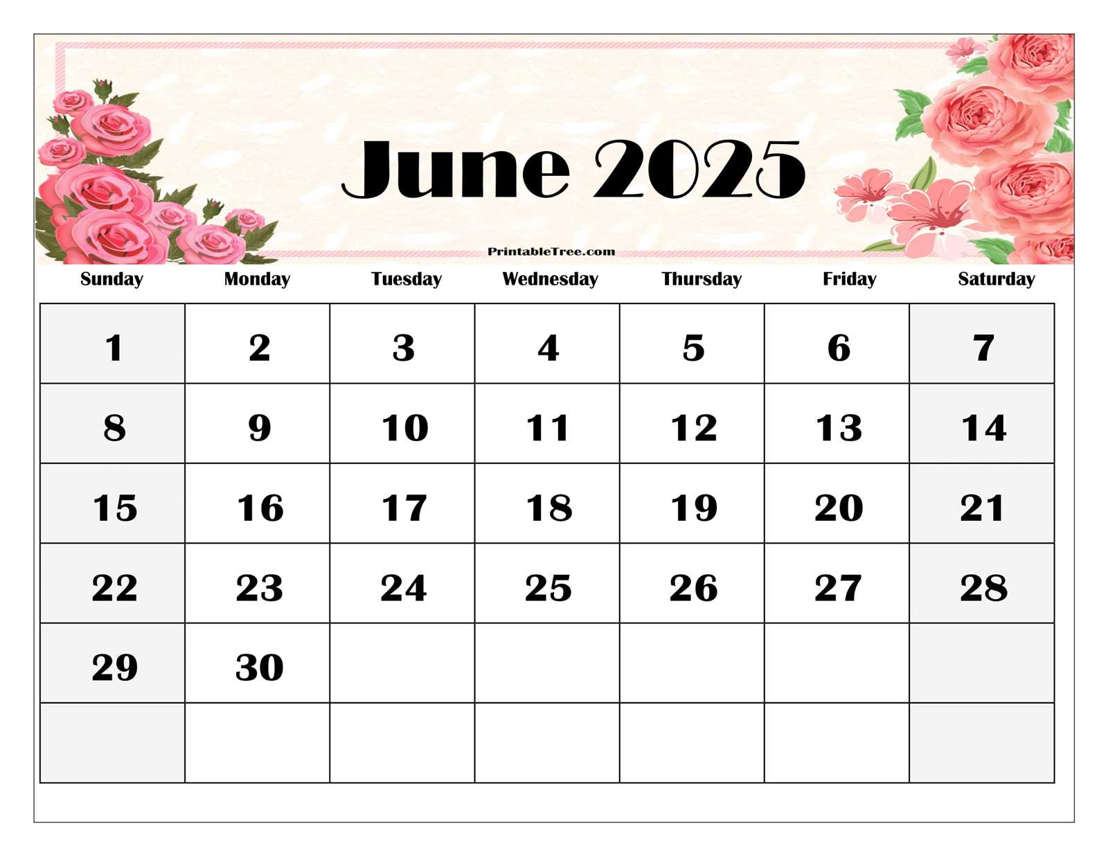 may june 2025 calendar template