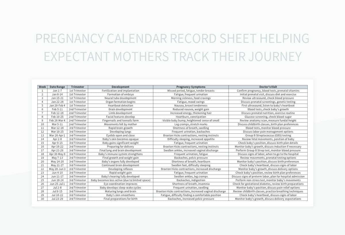 pregnancy calendar template