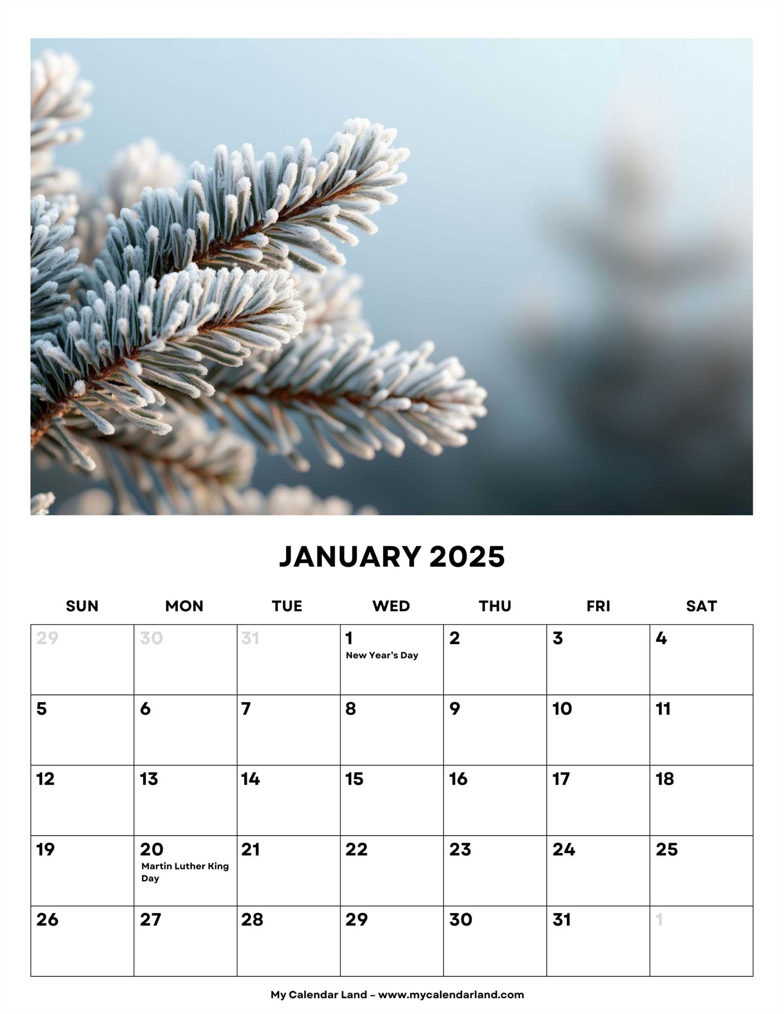 template calendar january 2025