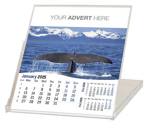 cd case calendar template 2025