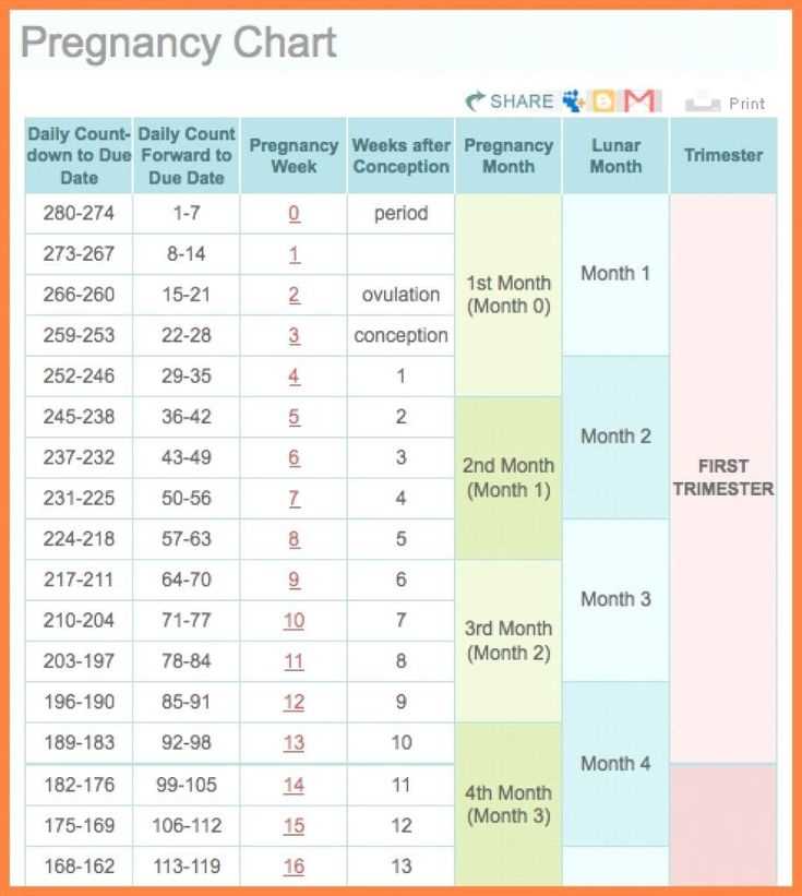 pregnancy calendar template