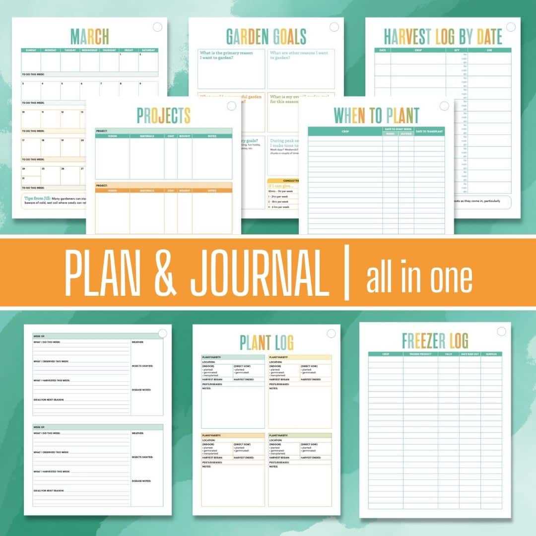 garden planting calendar template