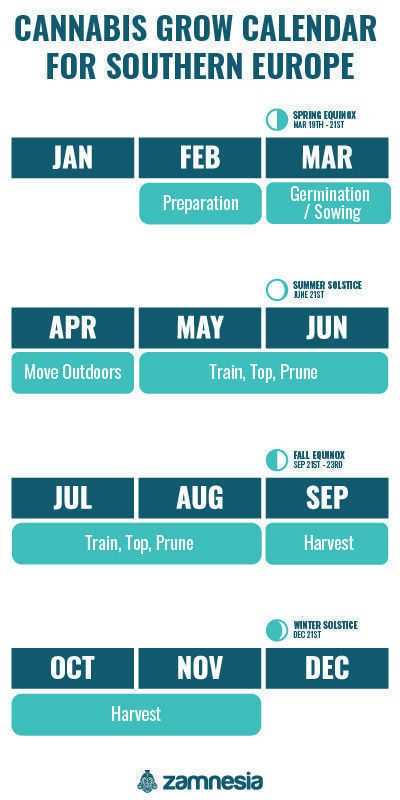 cannabis grow calendar template