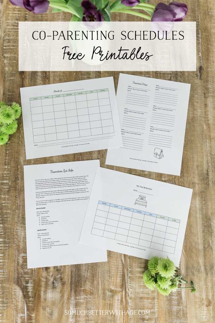 shared custody calendar template