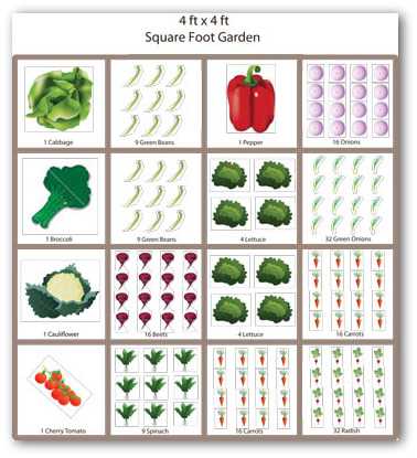 garden planting calendar template